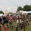 Torneo del Cigno Bianco