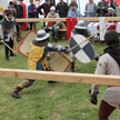 Torneo del Cigno Bianco