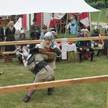 Torneo del Cigno Bianco