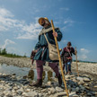 Via Francigena